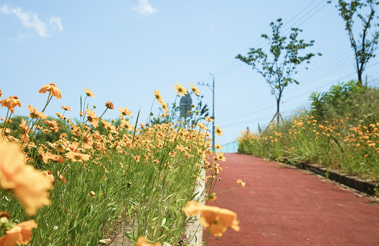 갑천누리길 1코스
