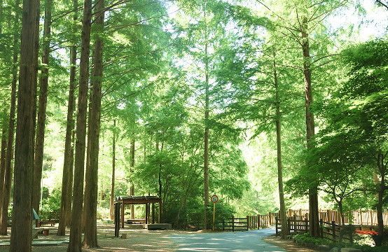 갑천누리길 3코스