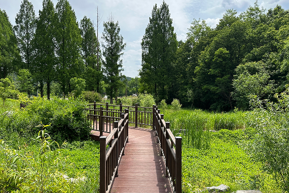 노루벌적십자생태원 전경 2