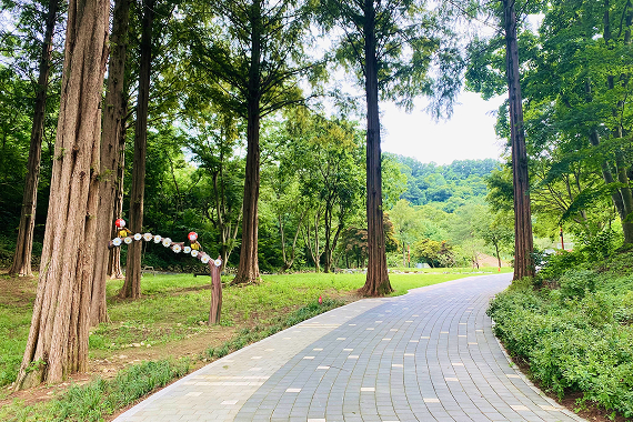 노루벌적십자생태원 전경 3