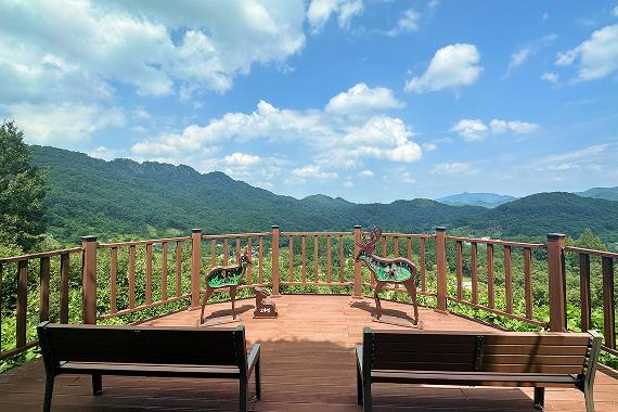 노루벌적십자생태원 전경 4