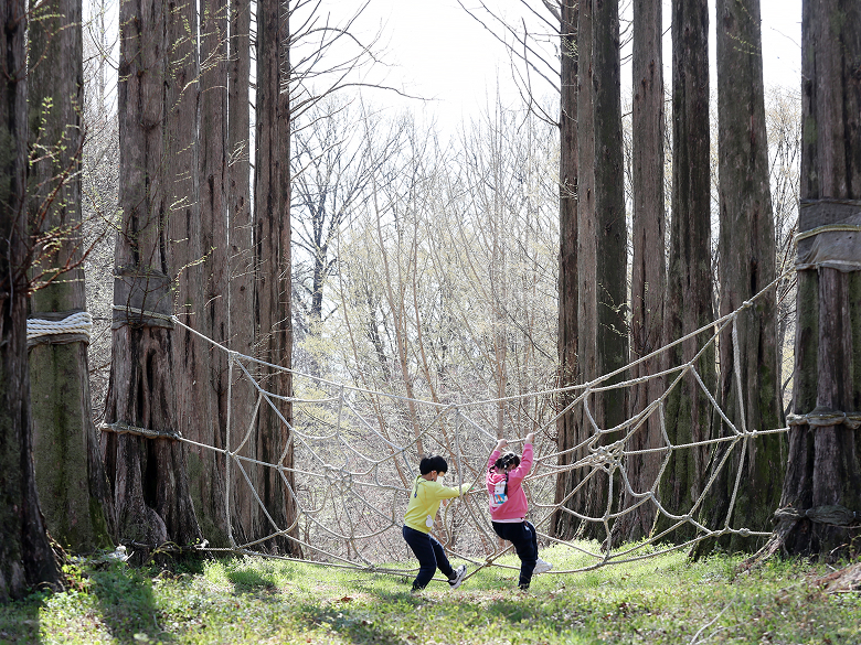 유아 숲 체험 놀이터 4