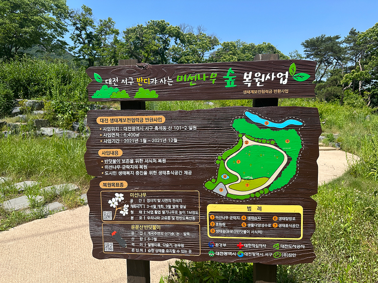 미선나무 복원지 3