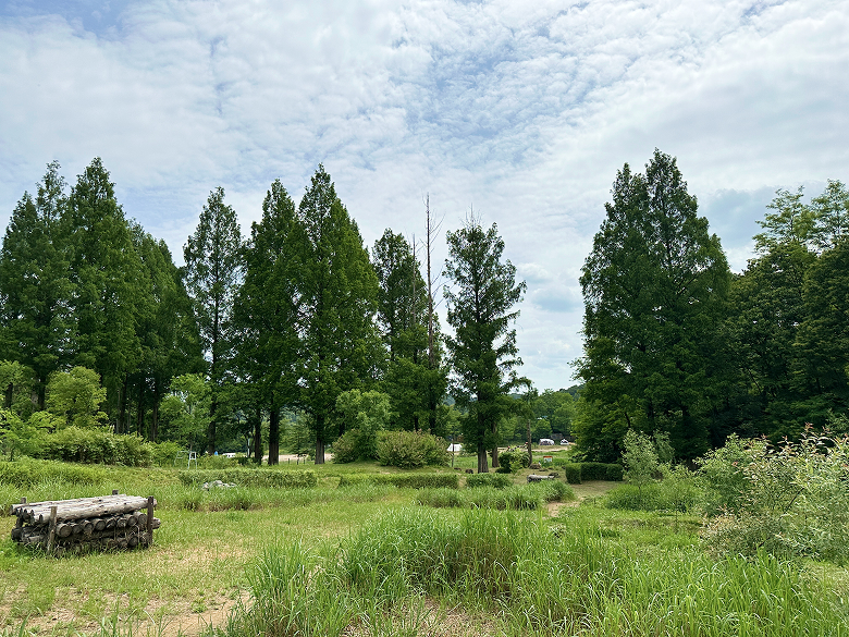 반딧불이서식지 1