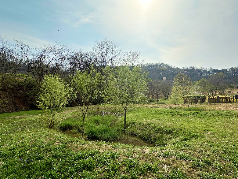 반딧불이서식지 2