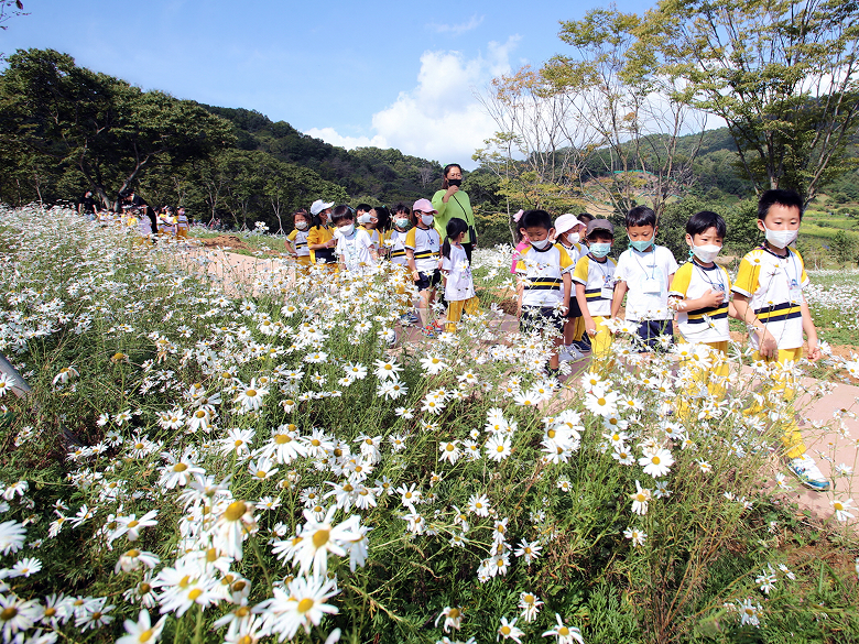 구절초테마숲 2