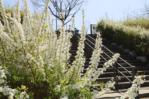 갑천누리길 전경 2