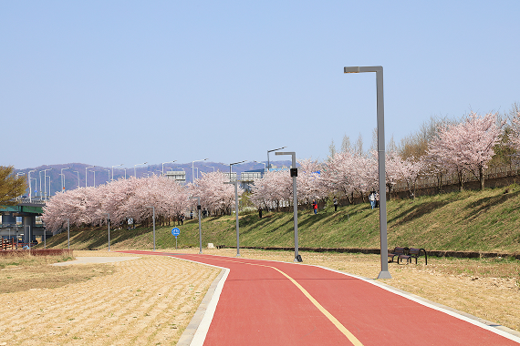 갑천누리길 전경 3