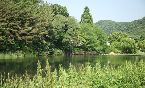 상보안유원지 1