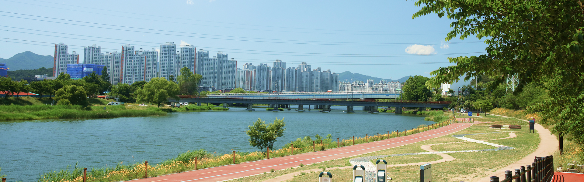 갑천길 하천 전경