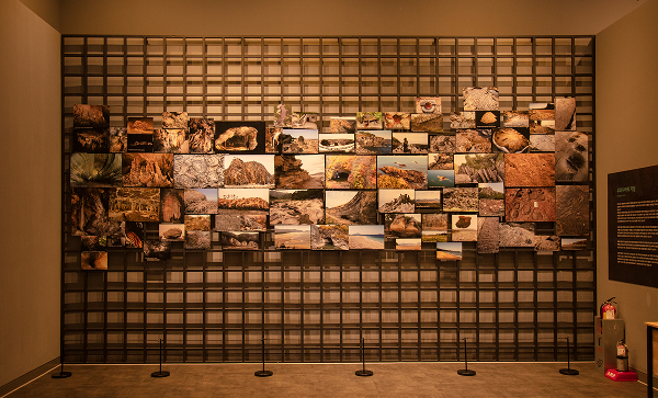 천연기념물센터 3