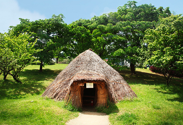 Dunsan Prehistoric Site img