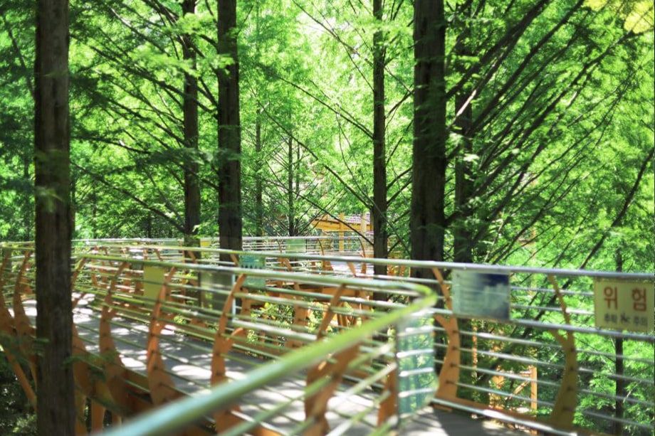Jangtaesan Natural Recreational Forest 10