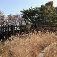 하늘공원 내부사진