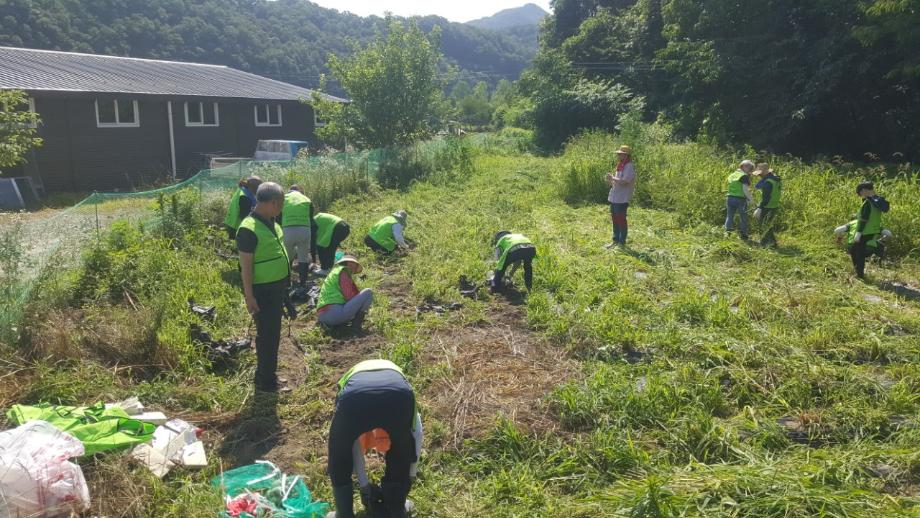갑천누리길그린봉사단 생태텃밭가꾸기(감자수확) 이미지