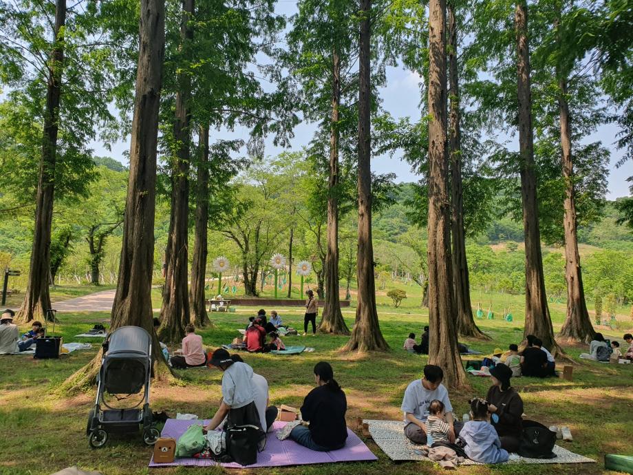 2023년 상반기 유아환경교육관 가족교육 이미지
