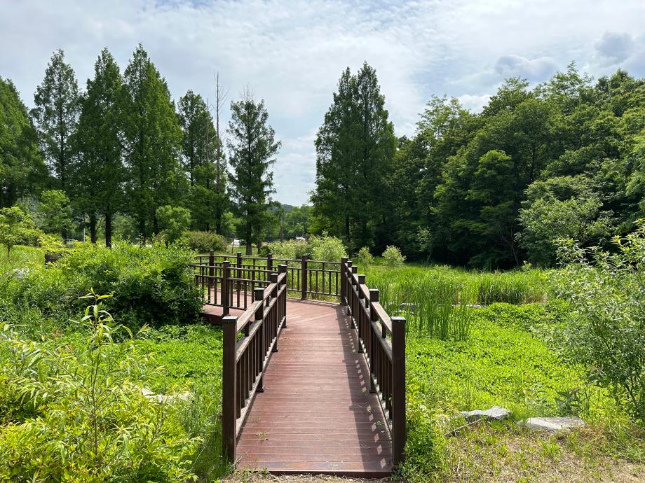 노루벌적십자생태원 반딧불이서식지 이미지