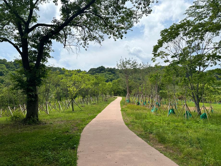 노루벌적십자생태원 산책로 이미지