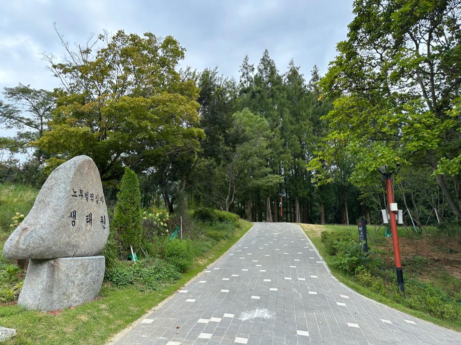 메타쉐쿼이아숲 가는길-8월 이미지