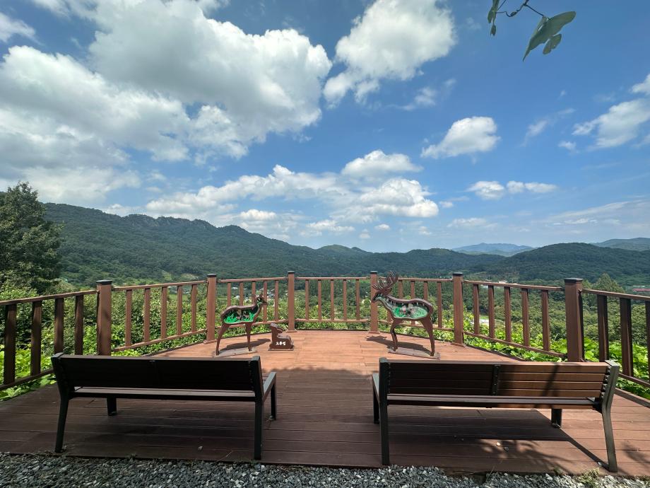 생태원 조망대-8월 이미지