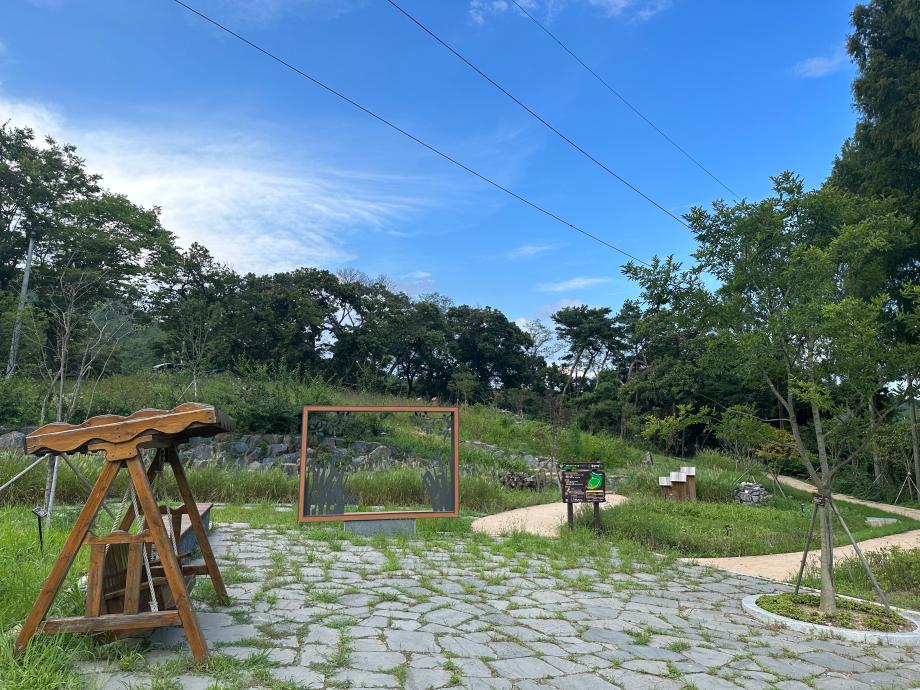 미선나무숲 복원지-8월 이미지