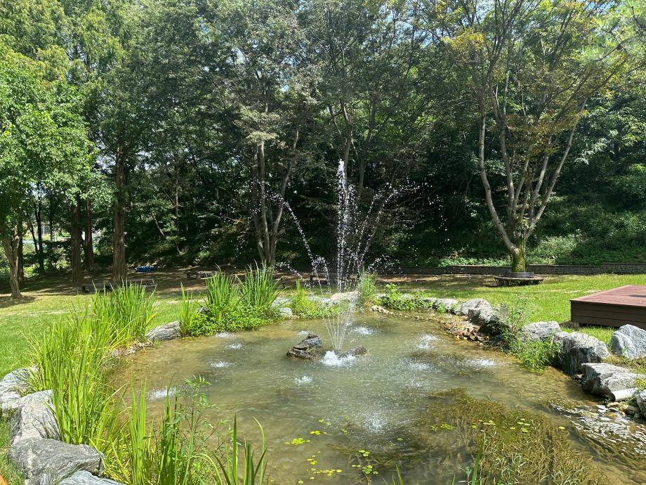 생태연못-8월 이미지