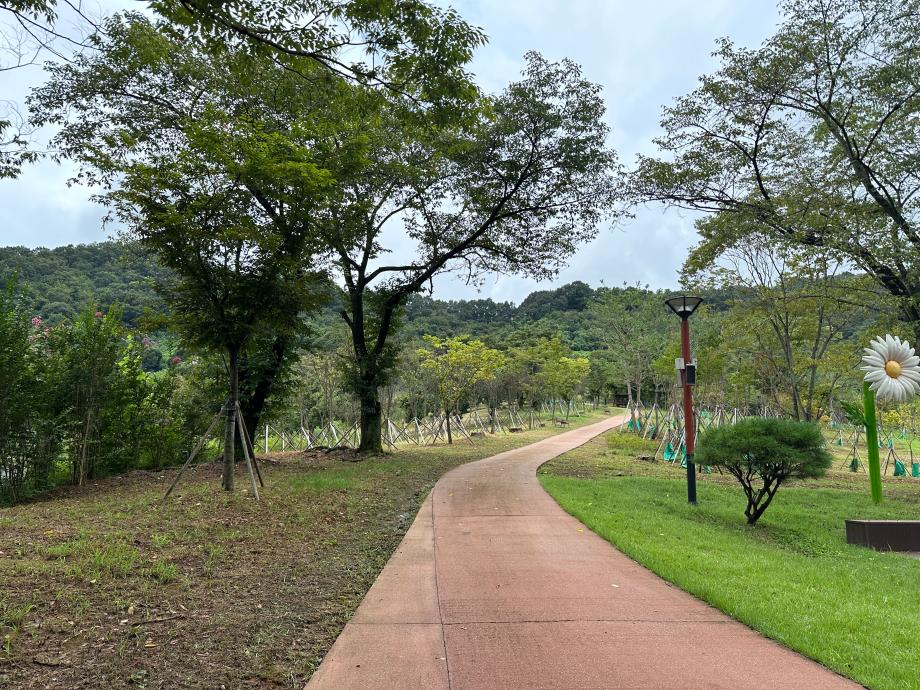 산책길-8월 이미지