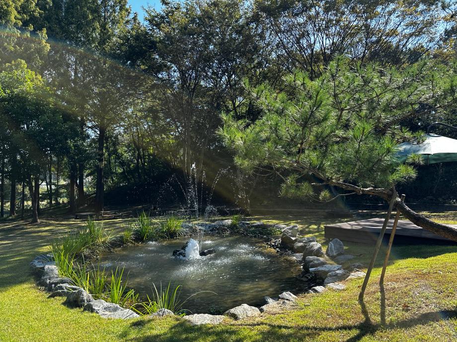 생태연못 -10월 이미지