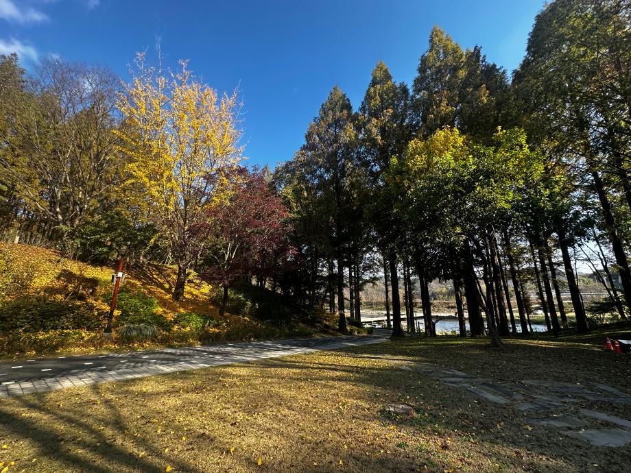 11월 만남의 뜰 이미지