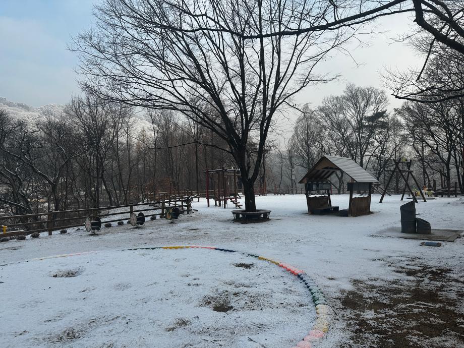 12월 유아숲놀이터 이미지