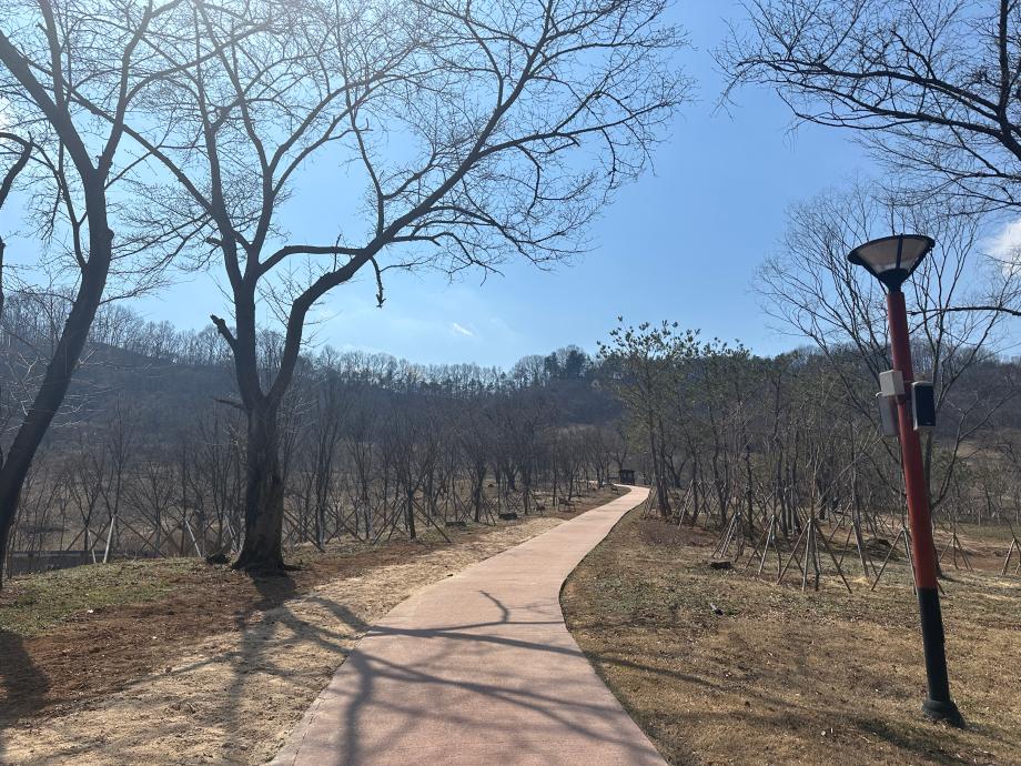 3월 산책길 이미지