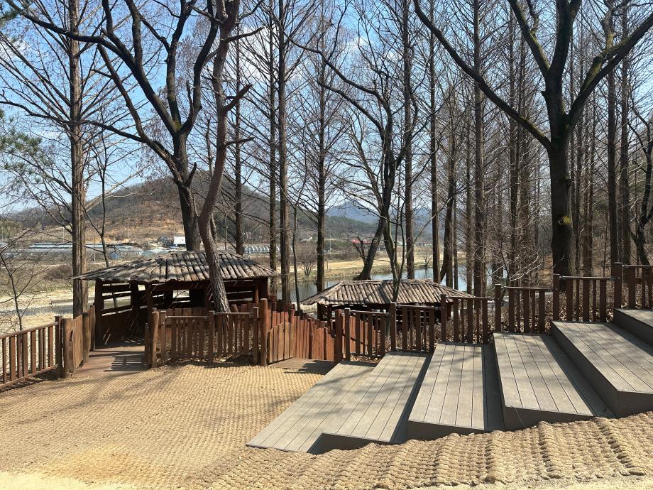 3월 트리하우스 이미지