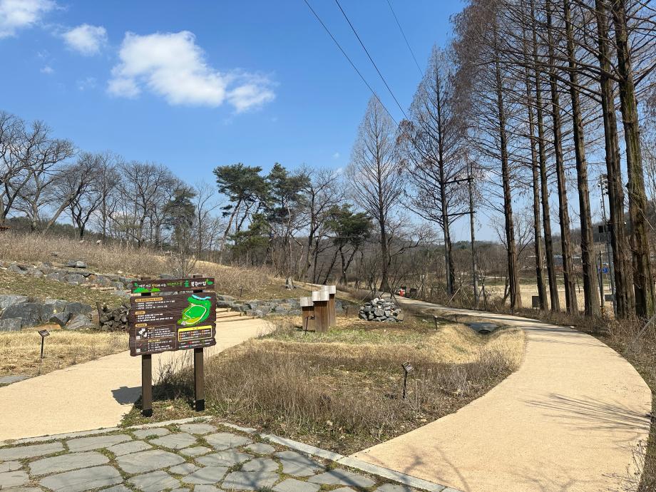 3월 미선나무숲 복원지 이미지