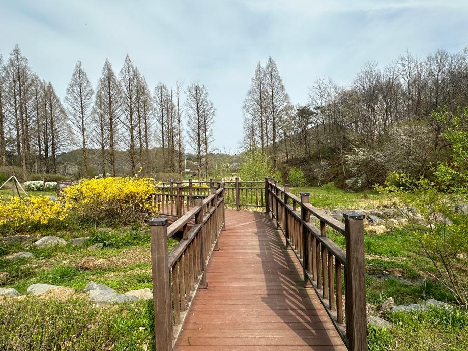 4월 반딧불이서식지 이미지