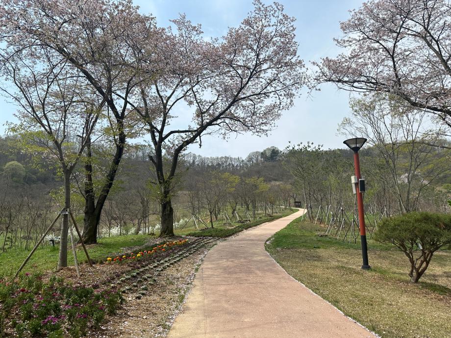 4월 산책길 이미지