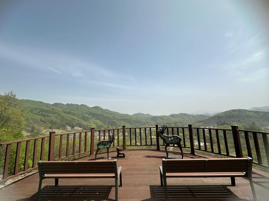 4월 생태원 조망대 이미지