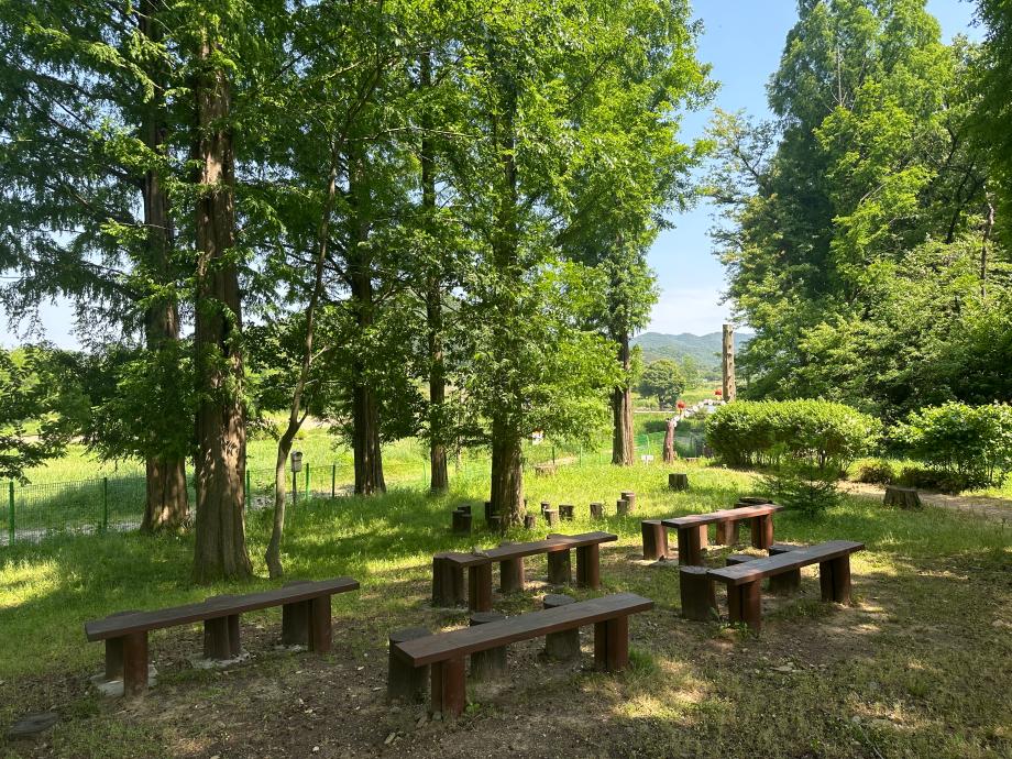 5월 반딧불이서식지 이미지