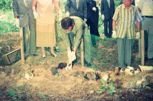 서구 남선공원 토끼방사 (1994-07-00)