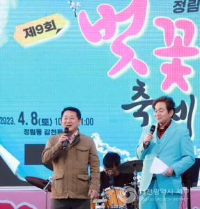 정림동 벚꽃축제, 대전 서구 대표 봄축제 위상 확인