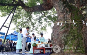대전 서구 괴곡동,‘천연기념물 느티나무 목신제’개최