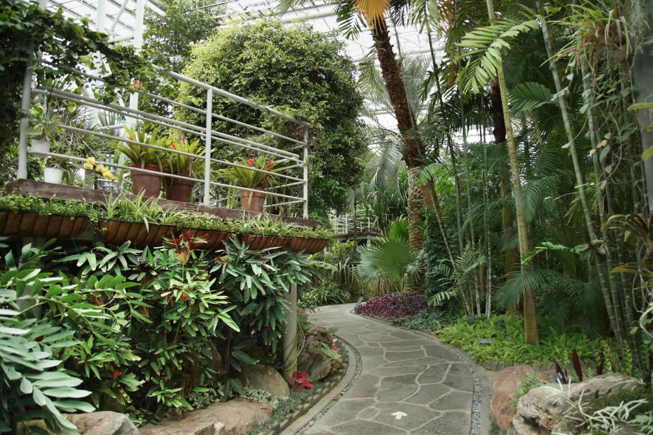 한밭수목원 열대식물원 (2) 이미지